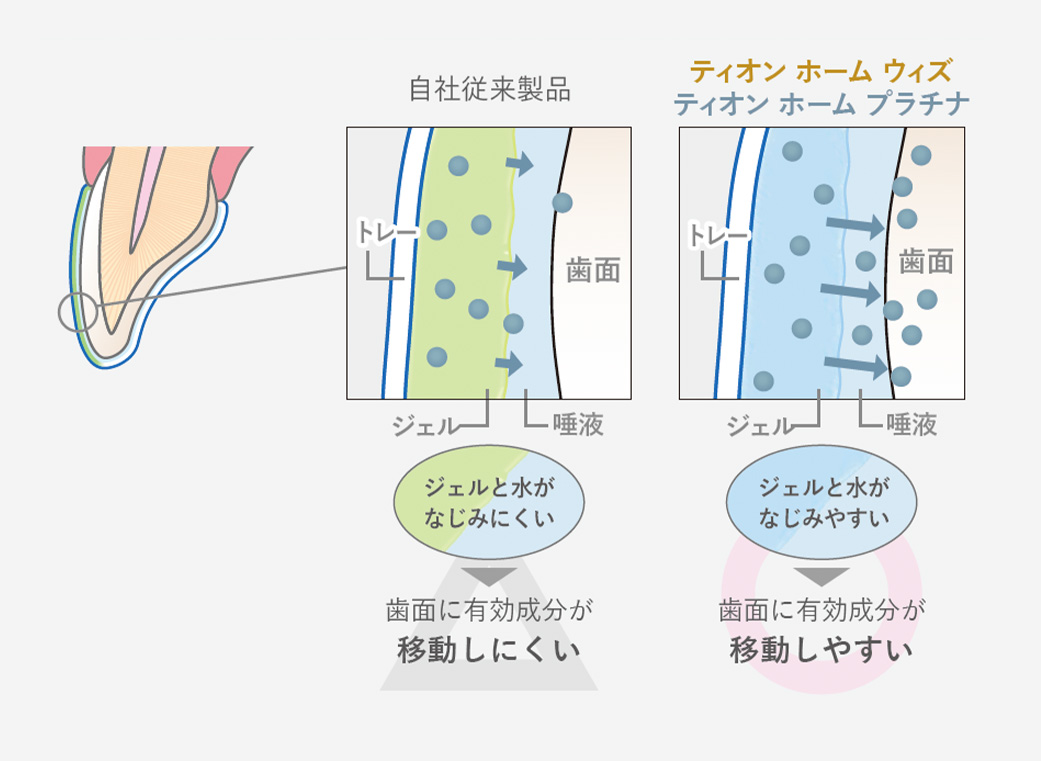 有効成分が歯の内側まで浸透します